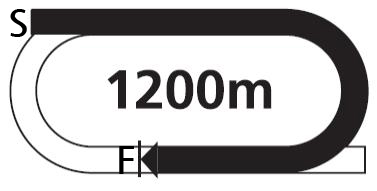 1200M 트랙