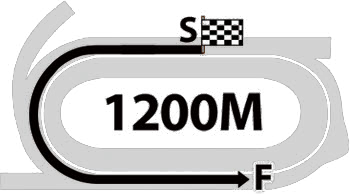 1200M 트랙